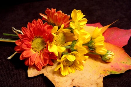 Autumn Bouquet - flowers, bouquet, still life, autumn