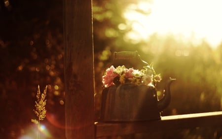 Teakettle of Flowers - teakettle, sunlight, photography, railing, flowers