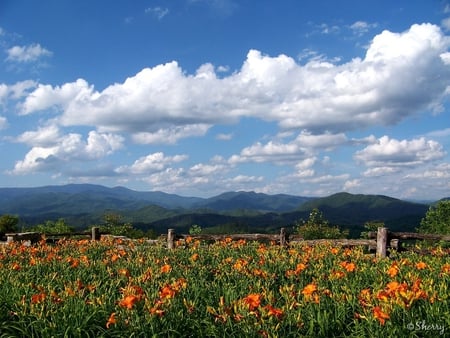 Floral Fenceline - flowers, clouds, landscape, mountains, fence, sky