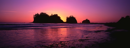 Sunset Rock - beach, trees, evening, water, sunset, rock