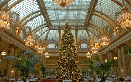 Christmas Tree - dining, conservatory, chandeliers, tree, christmas