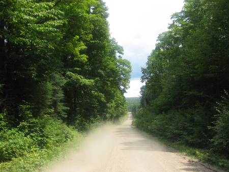 In the past - road, dirt, trees, view