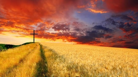 The Right Path - fields, cross, red, clouds, christian, golden, sunset