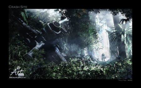 crash site - pilot, ship, sunshine, jungle