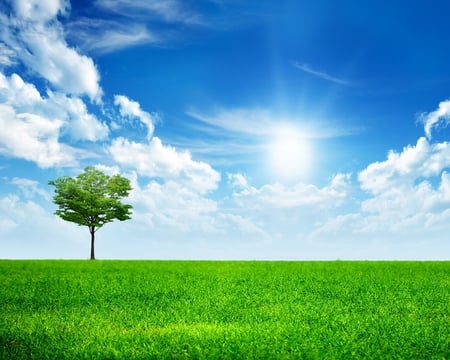 all-alone-in-this-world - clouds, sunlight, scenery, blue, beautiful, alone, grass, tree, nature, view, field, sun, sky