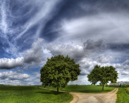 Grey Sky - sky, trees, landscape, field, nature, view, grey, beautiful, clouds, scenery, green, grass