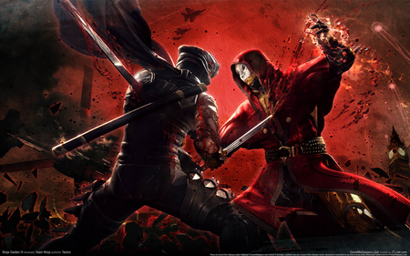 Ninja Gaiden 3