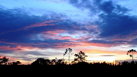 Dark Sunset - sky, trees, landscape, sun, sunset, nature, view, beautiful, clouds, blue, scenery