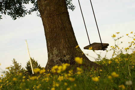 Here I keep the smile you gave me.. - swing, flowers, abstract, trees, smile, yellow, special, photography