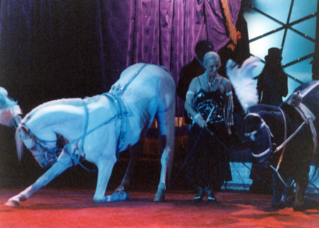 Taking A Bow - perform, circus, bow, arabians