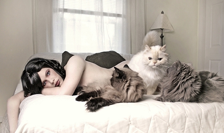 Brunette with her cats - woman, brunette, sexy, cats