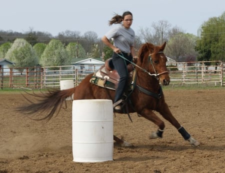 Practice Barrel Racing - fast, practice, horse, barrel racing