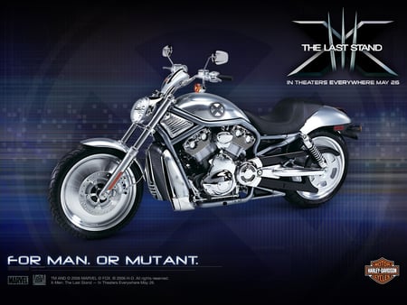 Harley Davidson X bike - 10, 2011, harley, motocicle, 16