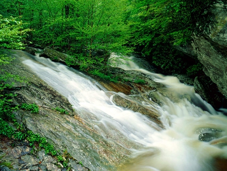 Waterfall - trees, forest, beautiful, water, green, summer, waterfall