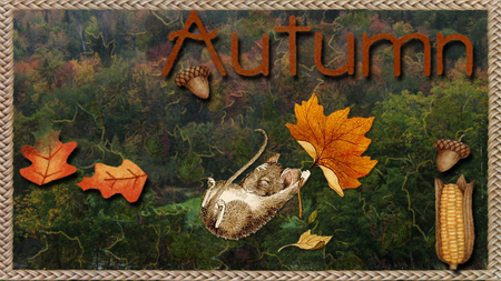 Autumn Mouse