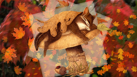 Sleepy Autumn Day - misc, seasons, fall, autumn