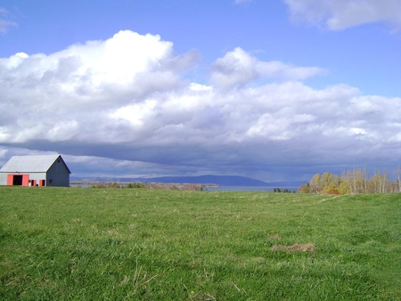 Untitle - white, sky, grass, barn