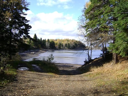 Untitle - brown, trees, rocks, water