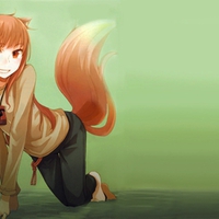 spice and wolf- Holo