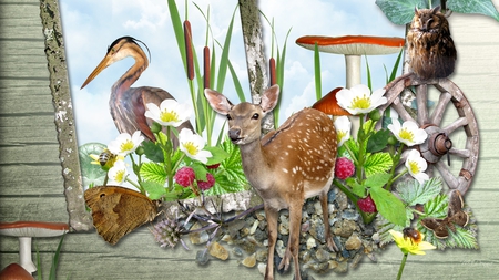 Wonder of the Woods - blossoms, raspberries, owl, deer, butterfly, mushrooms, crane, gravel, cat tails, wheel