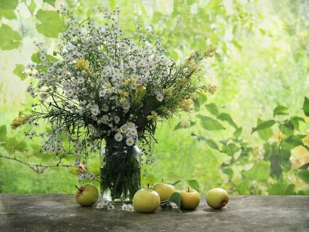 apples & kamomile - flowers, apples, kamomile, still life