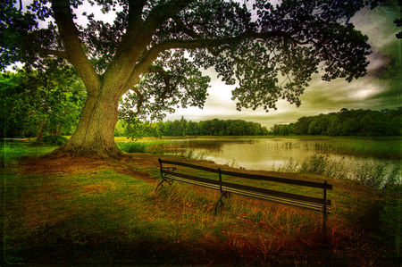 River-HDR - pretty, scenery, amazing, landscape, great, grass, forest, riverbank, view, old, hdr, bench, nice, sky, clouds, trees, beautiful, photography, beauty, colors, lovely, cool, tree, river, nature, green, park