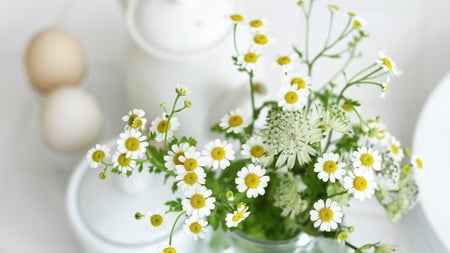 Delicate Still Life - still, life, delicate, small, daisies, vase