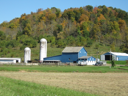 Working Farm in Autum - trees, blue, colors, mountains, feilds, buildings, sky