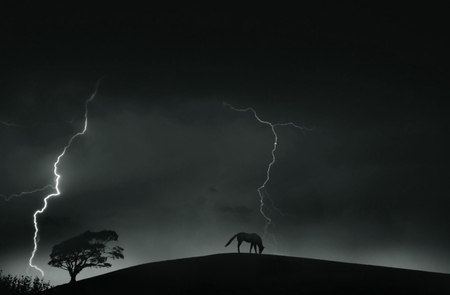 Stormy scene - horse, black, animals, goth, dark, night, art, fantasy, storm