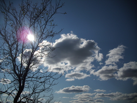 sunny - sky, autumn, day, blue, clouds, sunny