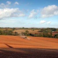 At the Farm