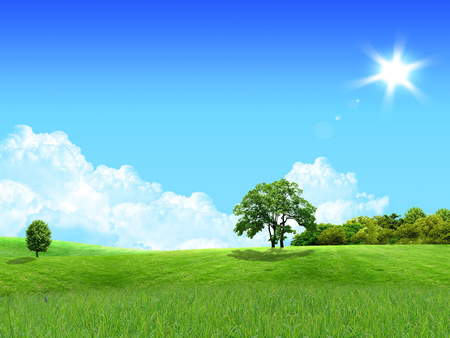 Nature - nature, sky, cloud, field, grass