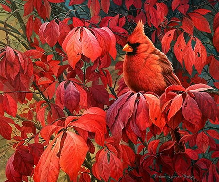 Joni Johnson Godsy - red, bird, art, cardinal, leaf, nature, painting, joni johnson godsy, autumn