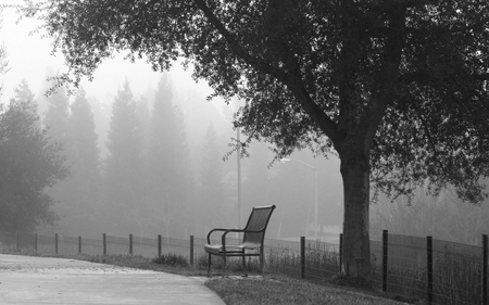 Lonely Bench - abstract, lonely, nature, sad, photography, bench, black and white, gloomy