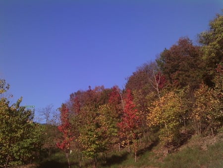 Harpers Ferry, WV. - fall, trees, blue, mountains, sky