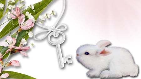 Simplicity - flowers, easter, key, rabbit, sakura, cherry blossoms, pink, bunny