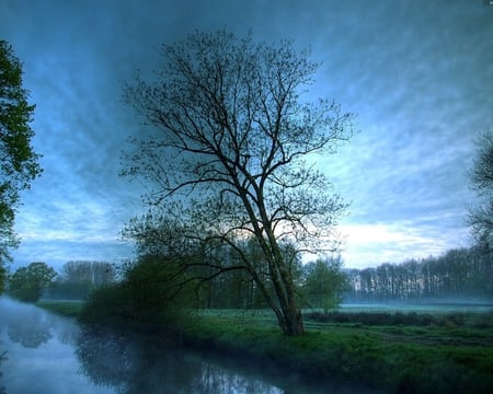 Peaceful Tree - clouds, landscape, water, tree