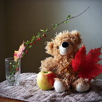 Autumn teddy bear