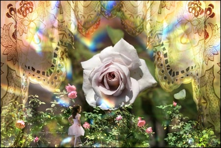 Prima Ballerina - collage, girl, rose, fantasy, ballerina