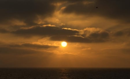 golden sunset - sky, beach, sunset, beautiful