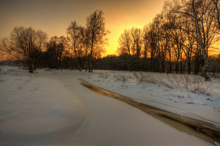 Silence winter - trees, popular, background, sun, image, winter, sunset, nature, cold, snow, beautiful, silence