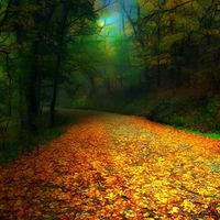 Autumn trail-HDR