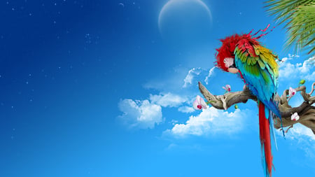 Colorful Parrot - sky, branch, colorful, black, white, paint, yellow, splat, parrot, tan, clouds, green, tree, moon, stars, livingdoll, bird, nature, red, blue, beautiful, pink, animal, flowers