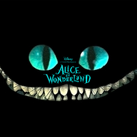 Alice cat