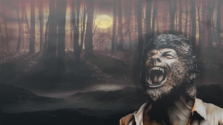 Wolfman - fog, wolfman, fullmoon, werewolf