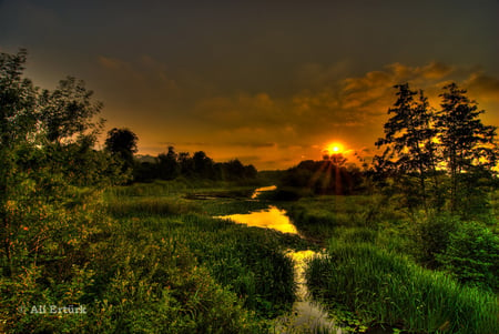 tranquality - nature, sky, trees, landscape, sunset, grass