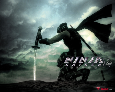 COOL NINJA - cool, nice, action, beautiful, ps3, game, amazing