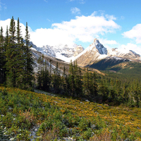 Beautiful Mountain Landscape