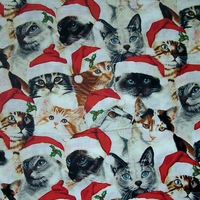 Christmas collage of Cats