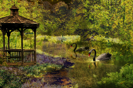 Together For Always - park, swans, couple, pond